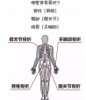 骨密度檢測分析儀教你如何看懂骨密度檢測報告單